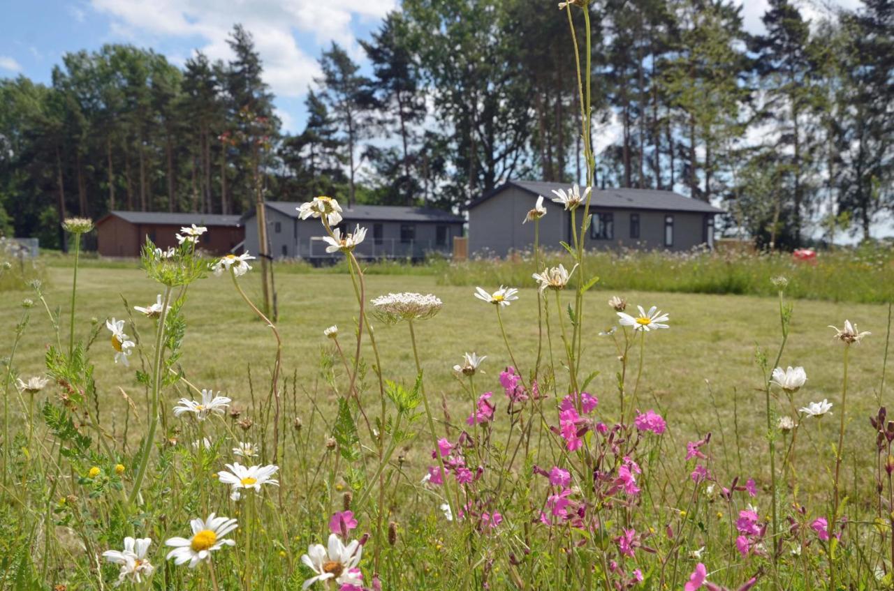 Hollicarrs - Long Lane Lodge York Exteriér fotografie